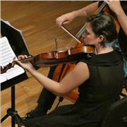 Profesora de piano, viola, lenguaje musical, armonía, transporte e historia de la música, actualmente estudiando en el Conservatorio Superior de Sevilla, se ofrece para preparación de exámenes, clases online y a domicilio